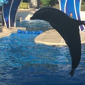 Meet your Posher, Tina